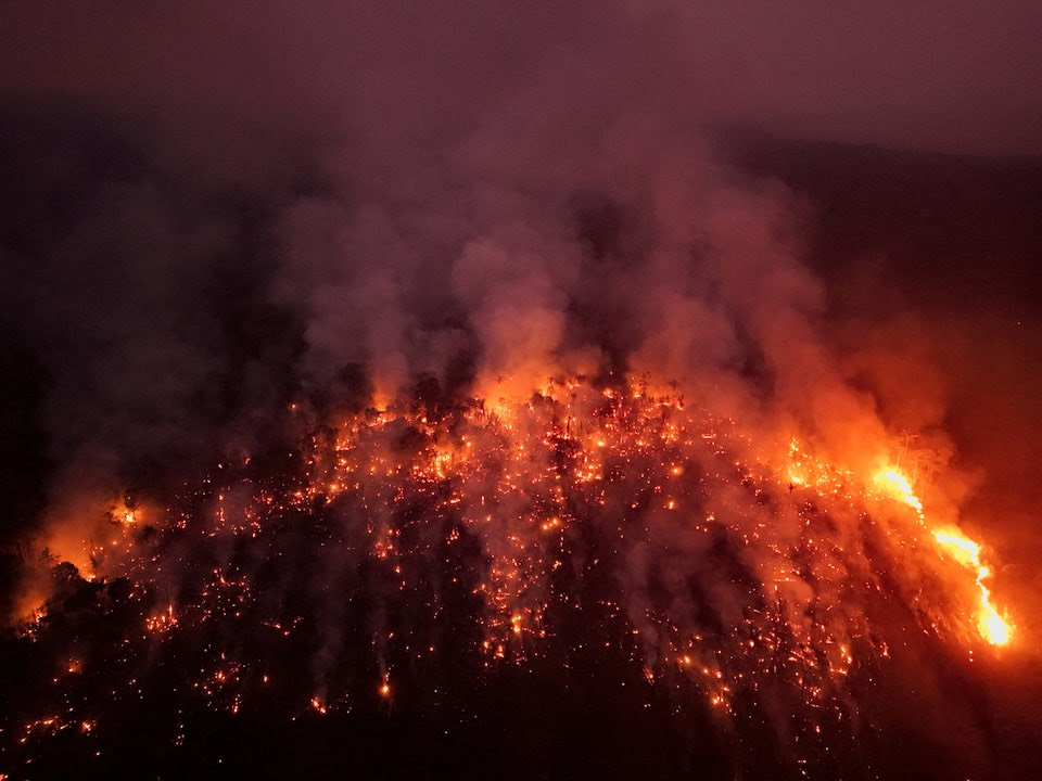 A view of the devastation caused by a forest fire in the Amazon. 