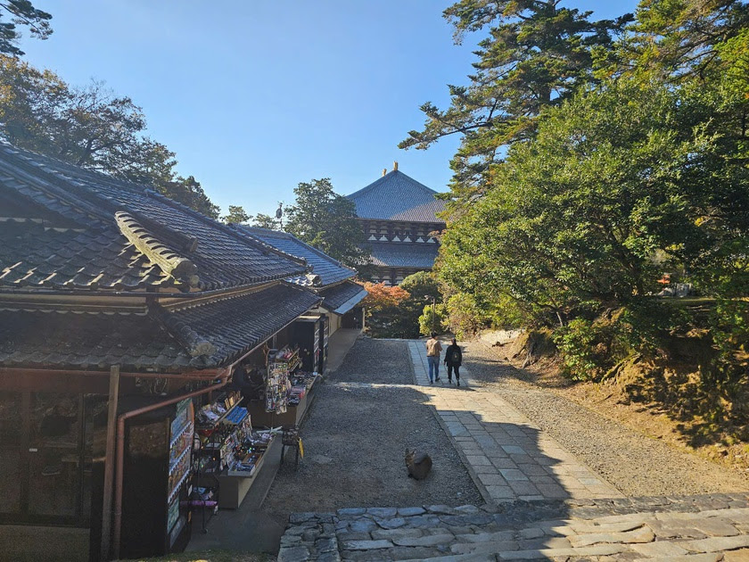 Sức hút của Todai-ji, ngôi chùa có lịch sử 1.200 năm ở Nara-Nhật Bản - Ảnh 14.