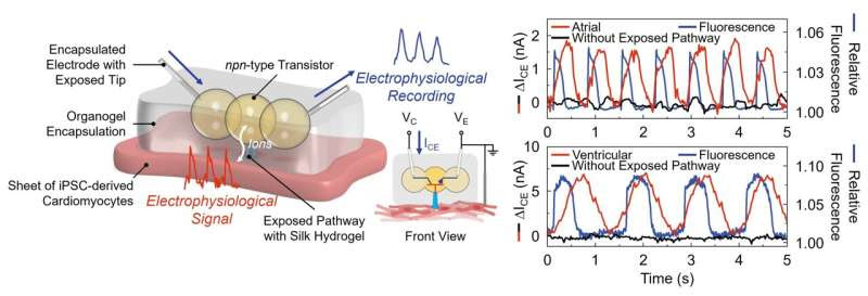 Bioinspired droplet-based systems herald a new era in biocompatible devices