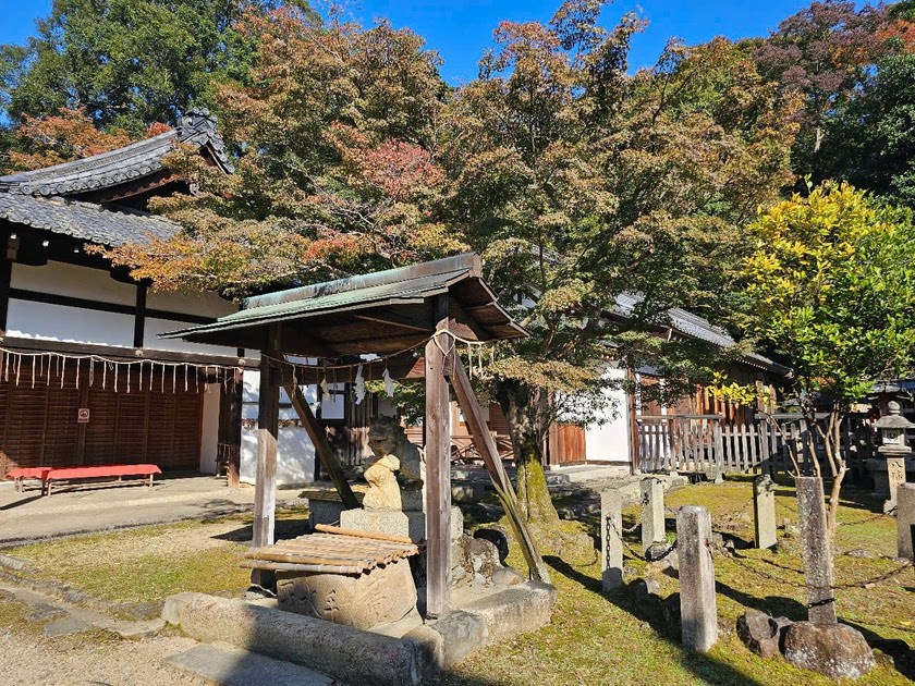 Sức hút của Todai-ji, ngôi chùa có lịch sử 1.200 năm ở Nara-Nhật Bản - Ảnh 17.