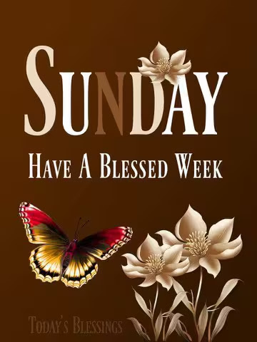 Sunday-Blessed-Week-Butterfly