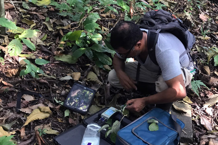 Day One: AVUELO’S First Tropical Survey
