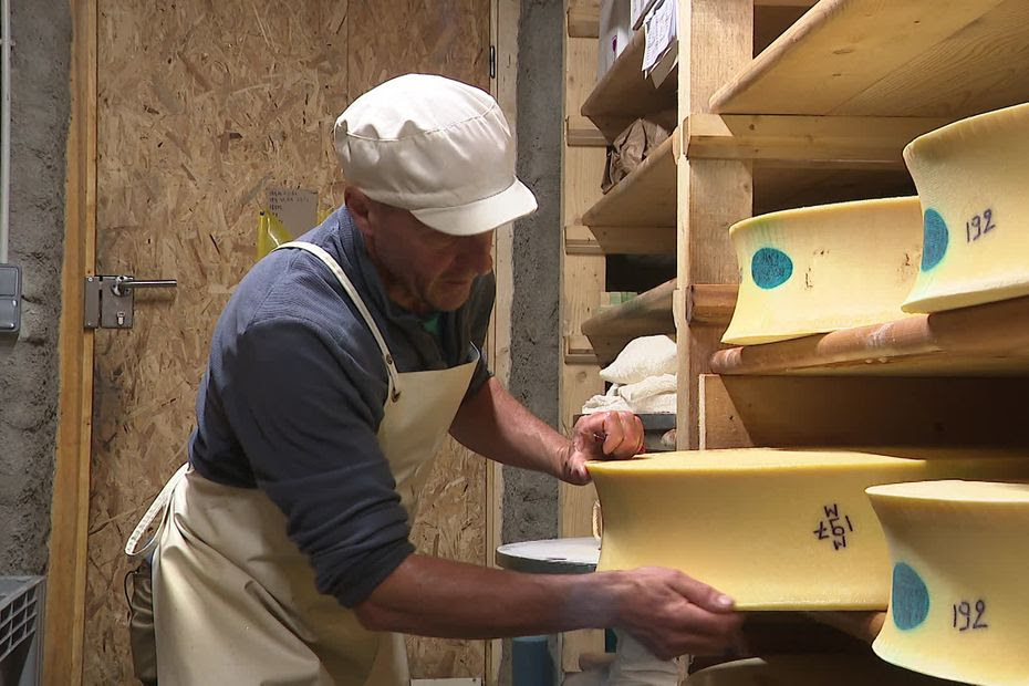 VIDEO. Produit à plus de 1500 m d'altitude, c'est le plus rare des Beaufort : découvrez les secrets de fabrication d'un fromage d'exception