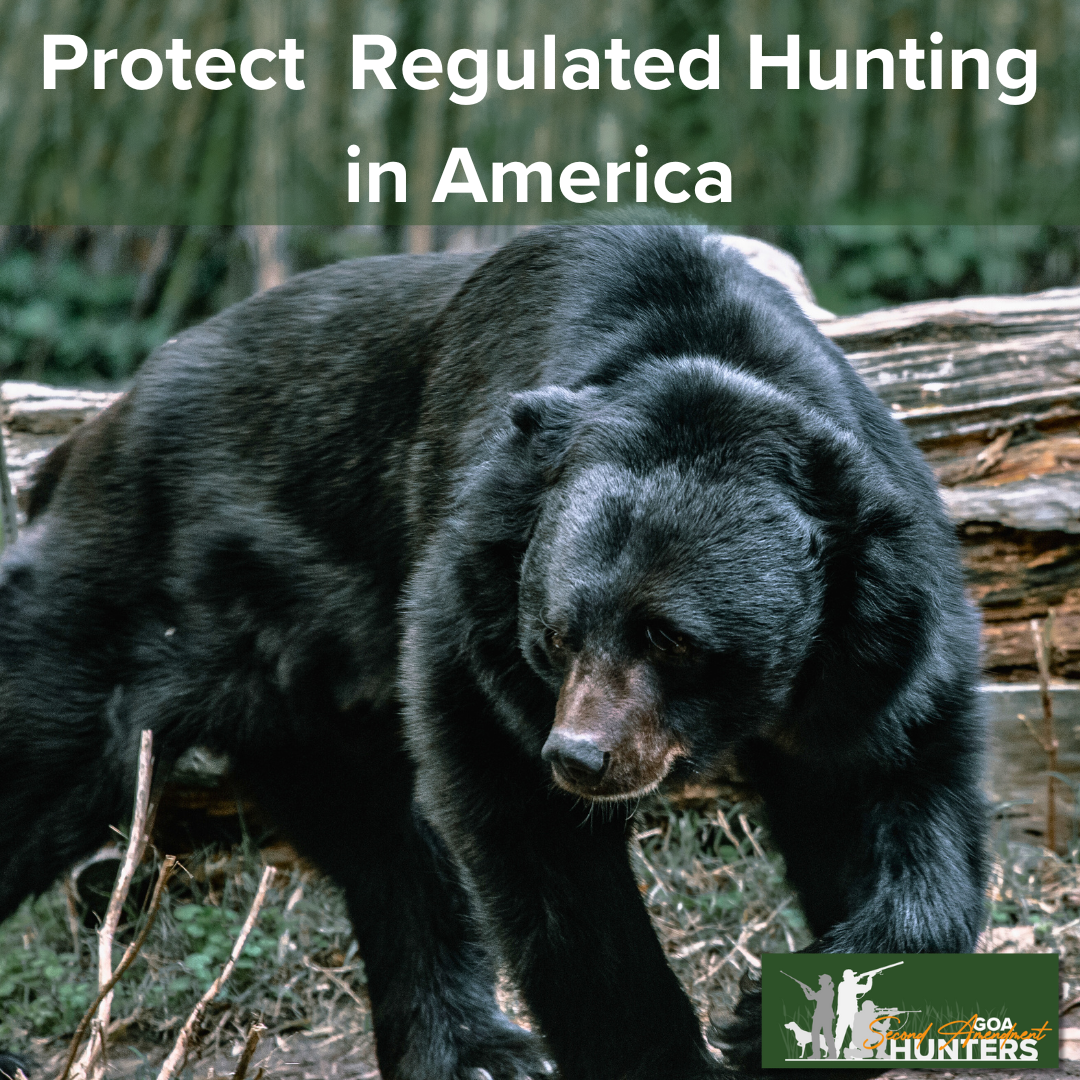 SAH%20ALERT%20%20Protect%20%20Regulated%20Hunting%20in%20America.png