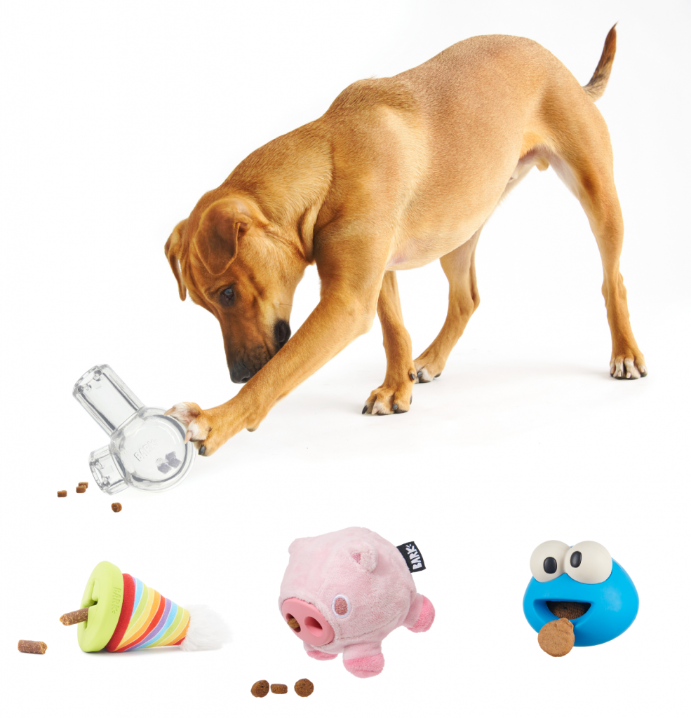 dog playing with treat dispensing toy