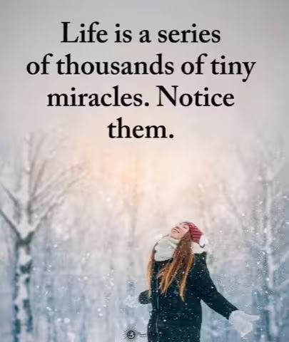 Life-Miracles-Notice-them