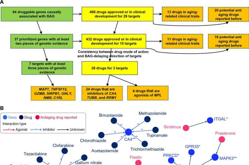 Deep learning uncovers gene targets and potential drugs to slow brain ageing
