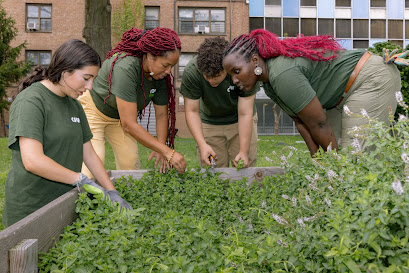 Gardens at NYCHA