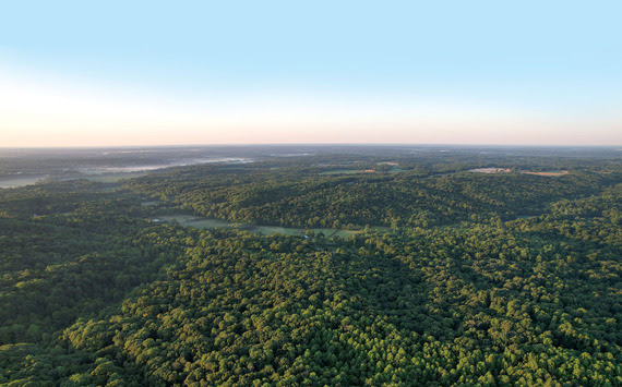 Fern Station Nature Preserve.