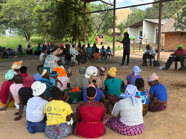 Commercialising agriculture drives ‘success’ in Mvurwi’s land reform areas in Zimbabwe