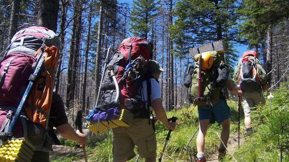 Hikers backpacking on a hiking trail