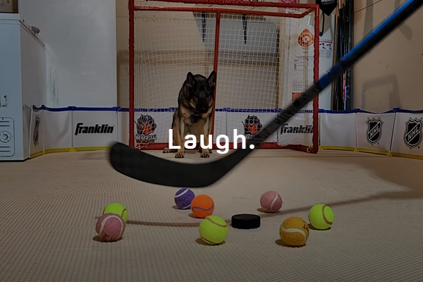 Intense focus from dog playing hockey