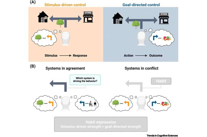 Researchers discover new cognitive blueprint for making and breaking habits