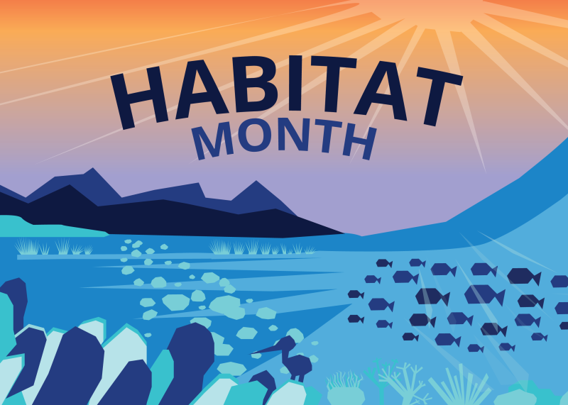 NOAA-Habitat-Month-Banner-Feature