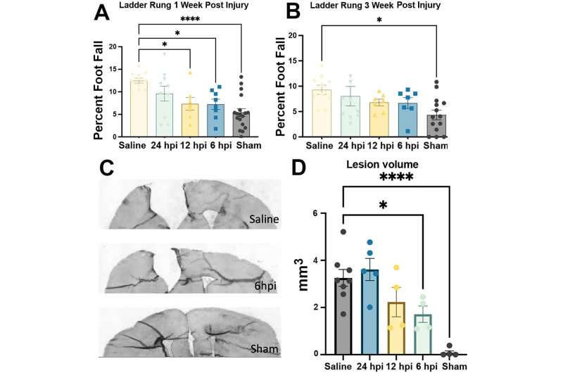 Immunomodulatory nanoparticles prevent secondary damage after traumatic brain injury