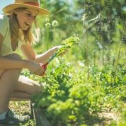 a woman is working in a garden
