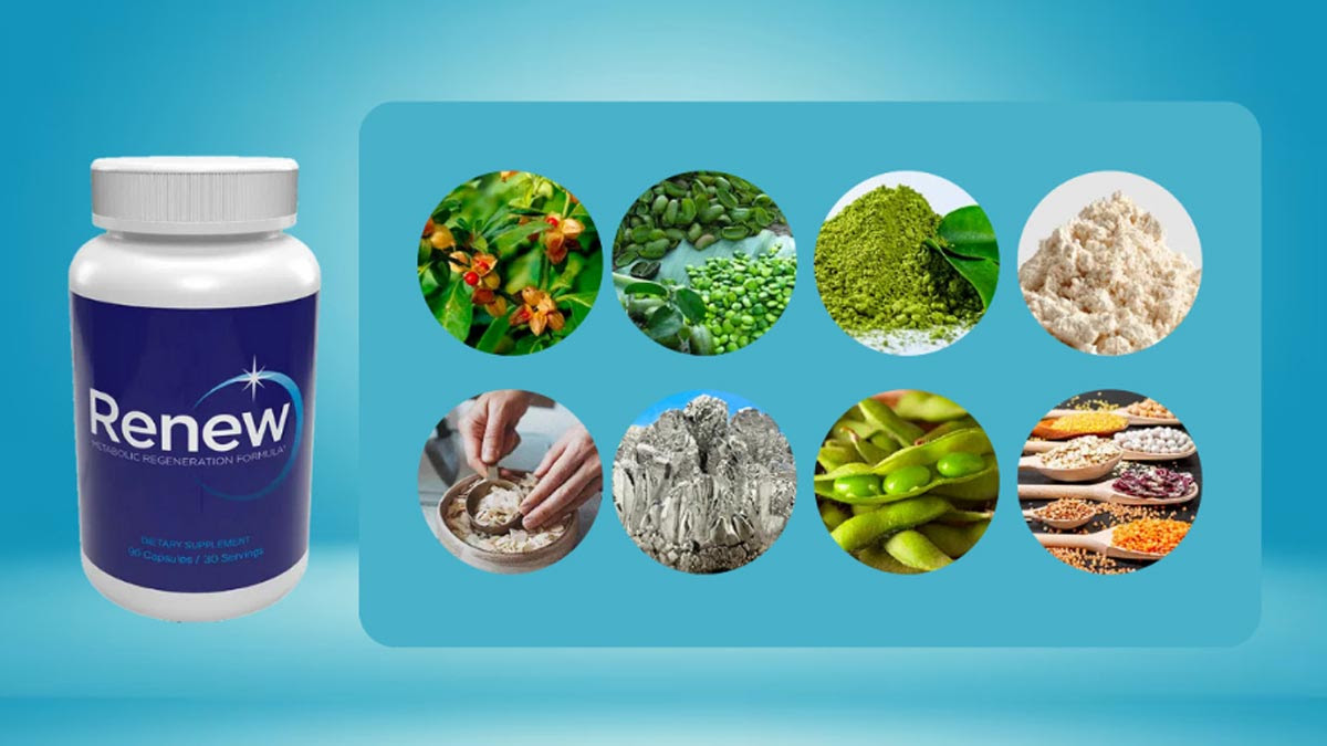 What Goes Into The Formulation Of Renew Supplement