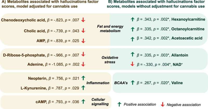 Metabolomic changes linked to psychotic-like experiences and cannabis use in adolescents