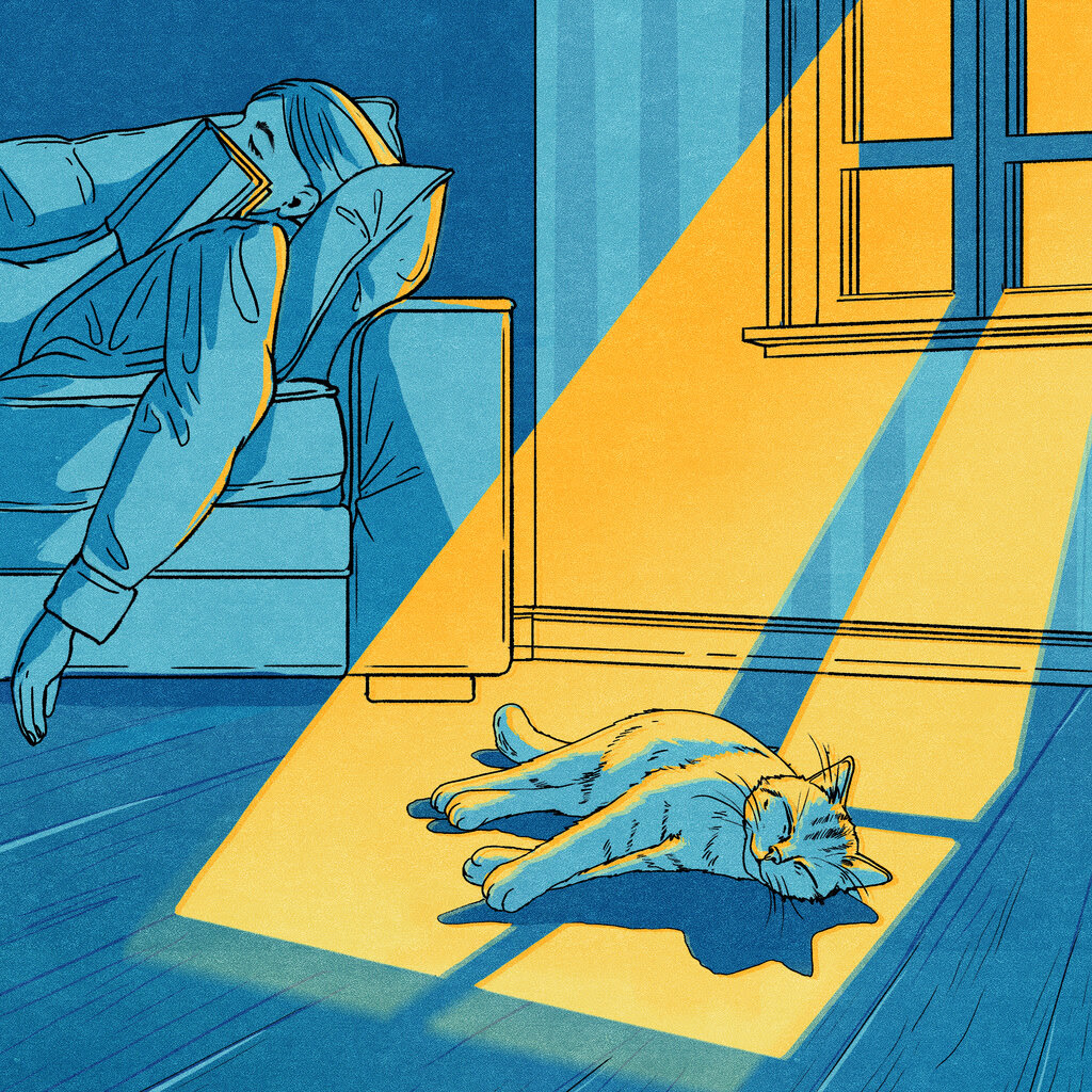 An illustration shows a cat sleeping in a sunbeam, while a person sleeps on a couch nearby.