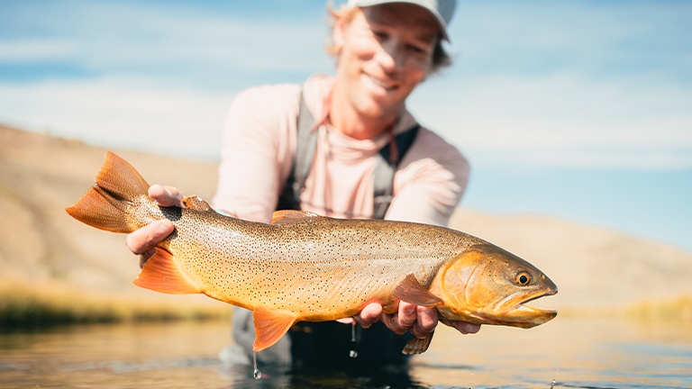 LOH Presents: Fly Fishing Film Tour