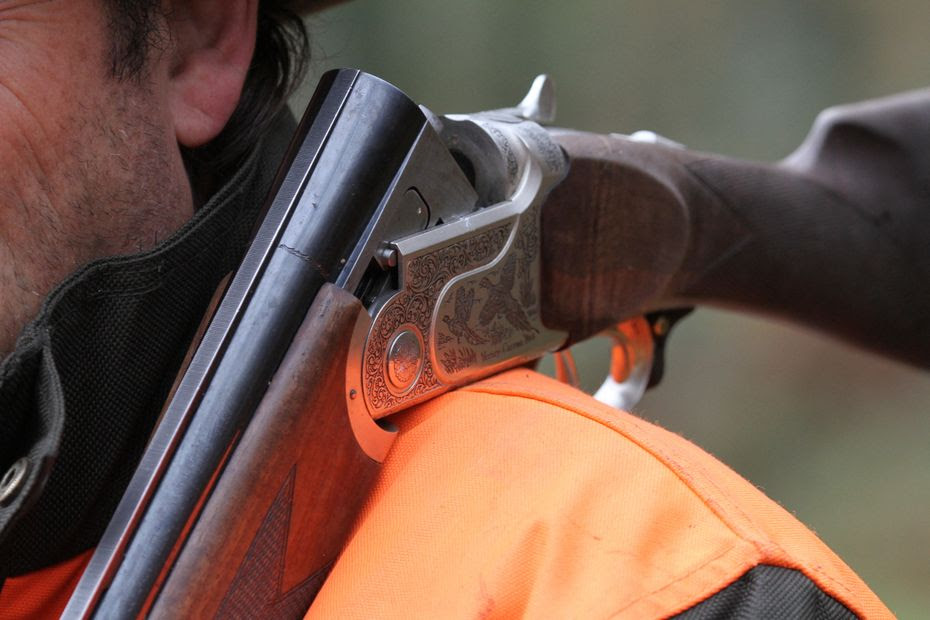 Un enfant de 4 ans actionne la détente d’un fusil de chasse, son père grièvement blessé