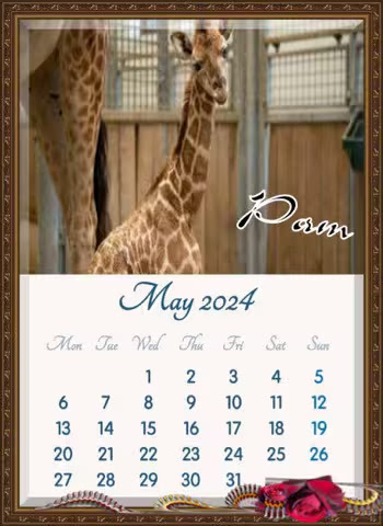 Giraffe-Calendar-Dayenne