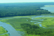 Chesapeake Bay estuary