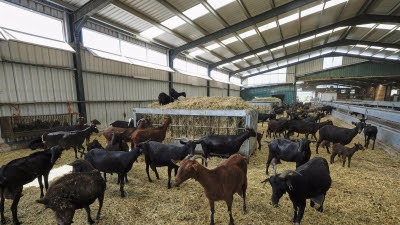 Comunidad concedió este año 80 millones en ayudas para el sector primario y 176 para ayudas a movilidad eléctrica