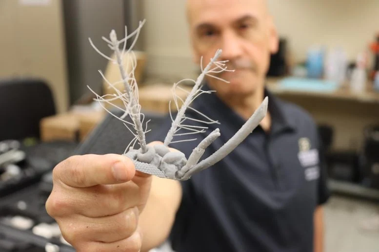 3D-Printed Mosquito Head