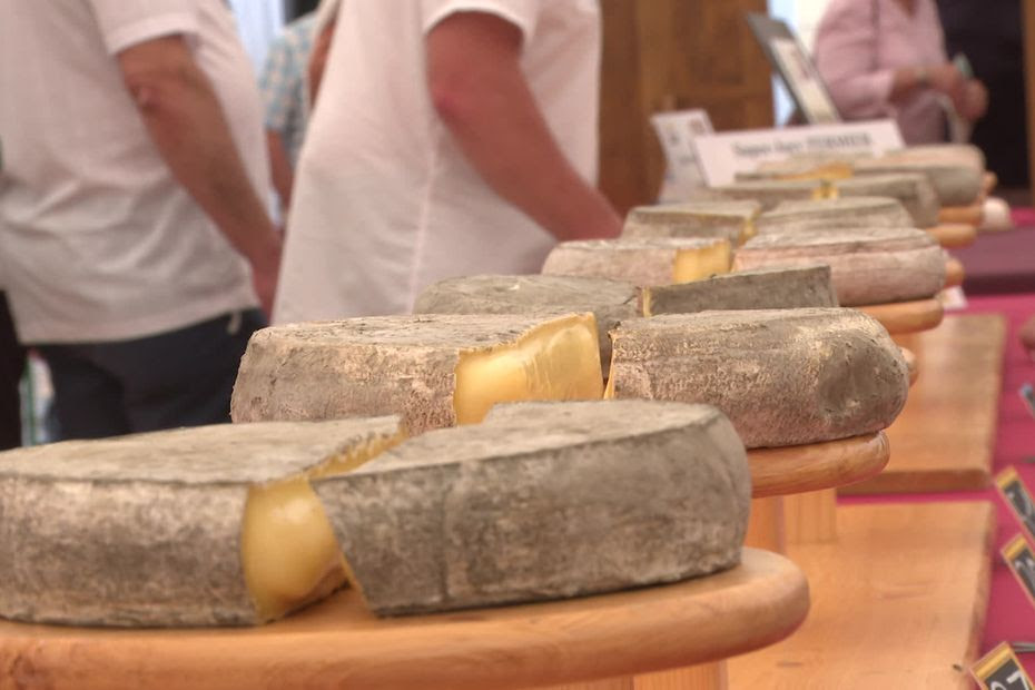 Les secrets pour choisir un saint-nectaire parfait dévoilés par 'le pape du fromage'