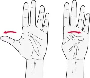 Thumb Flexion