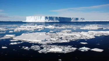 Icebergs Collapsing From the Antarctic Ice Sheet