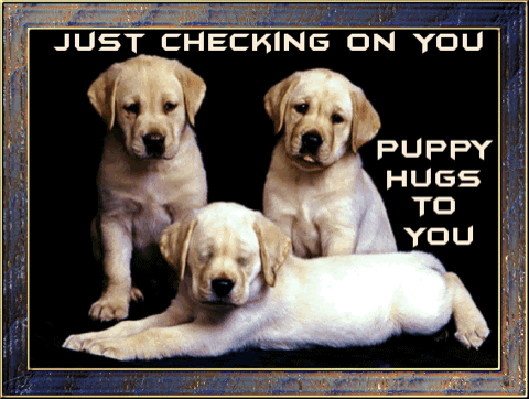 Hugs-Puppy-Checking-on-You