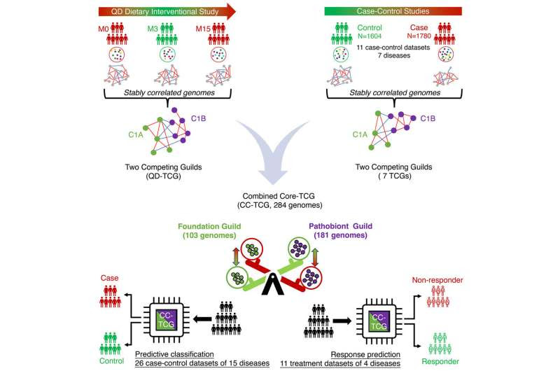 Researchers help redefine core microbiome, opening new chapter in precision health