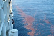 oil sheen as seen from NOAA ship