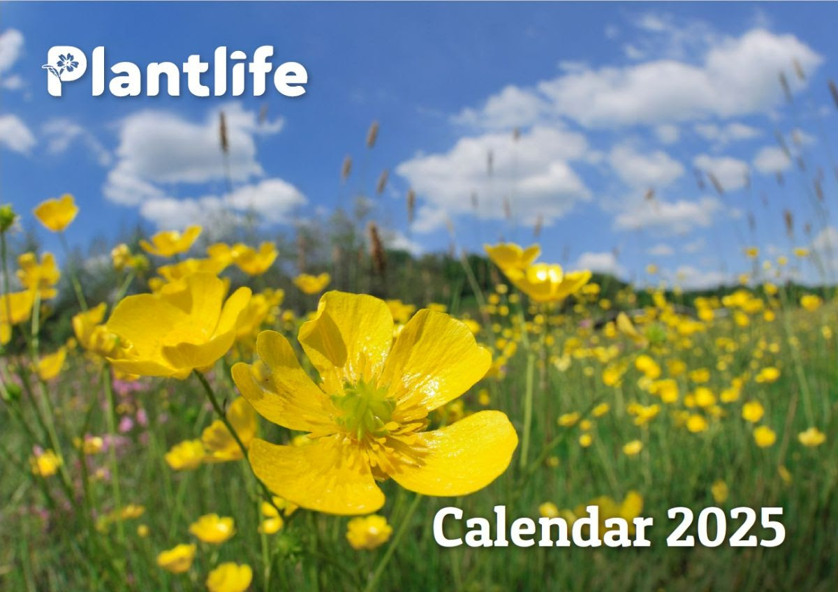 Calendar cover