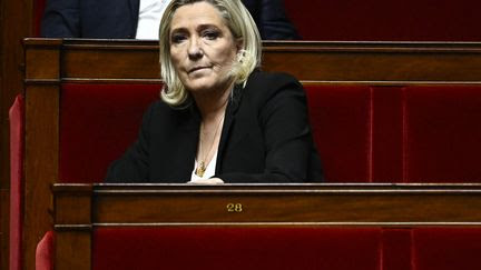 Motions de censure : l'entourage de Marine Le Pen dément 'formellement' avoir refusé trois rencontres à Matignon avant l'usage du 49.3