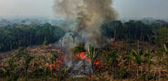 (FILES) Smoke from illegal fires lit by farmers rises in Manaquiri, Amazonas state, on September 6, 2023. Nearly 3,000 forest fires were registered in the Brazilian Amazon this month, the highest for any February since records began in 1999, the country's INPE space research institute said Wednesday February 28, 2024. (Photo by MICHAEL DANTAS / AFP)