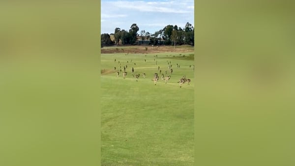 The game of golf was interrupted at the Heritage Golf & Country Club near Melbourne (pic: Stephen Roche)