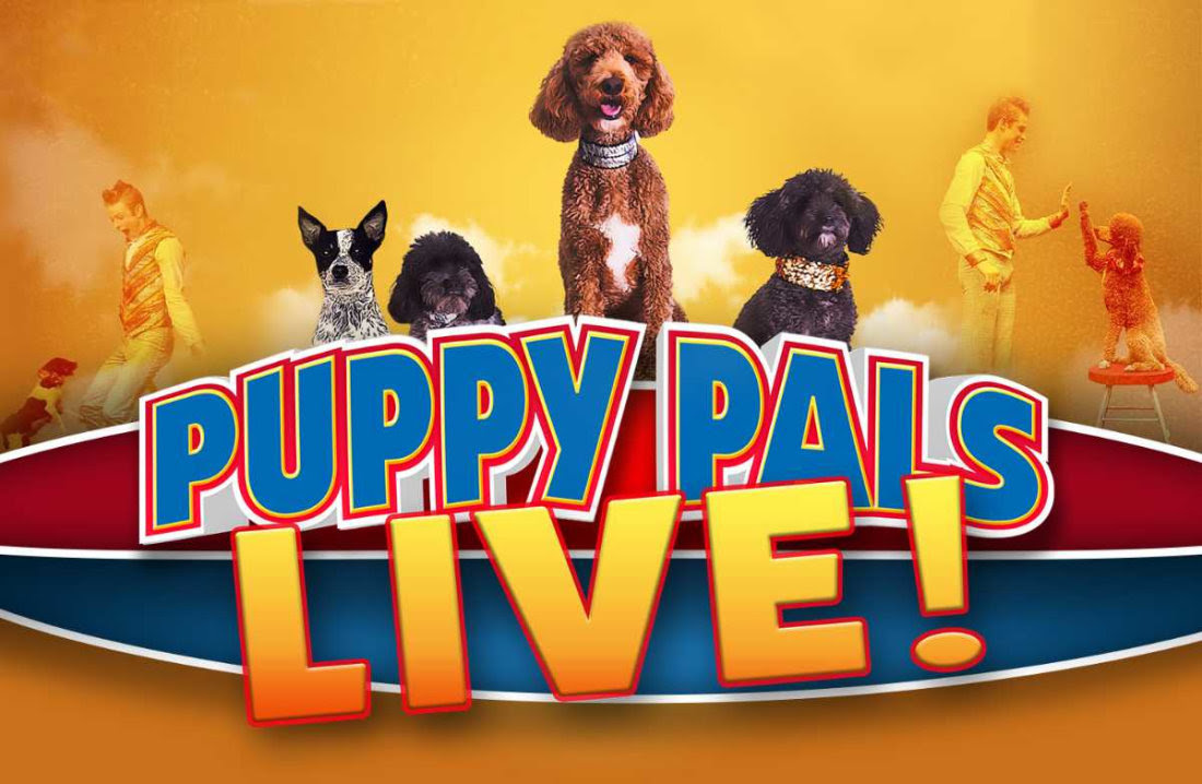 Puppy Pals Comedic Stunt Dog Show