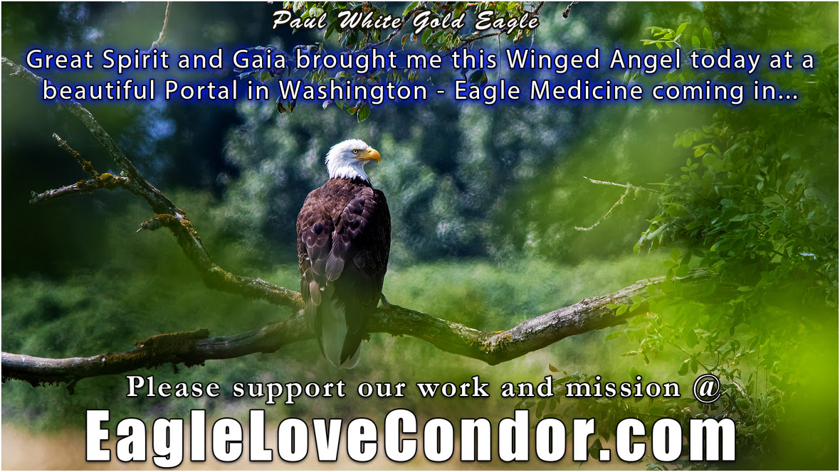 Bald-Eagle-medicine-Rdigefield