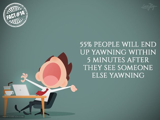 55% trong số chúng ta sẽ ngừng ngáp trong vòng 5 phút sau khi trông thấy người khác ngáp