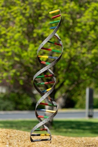 "DNA Helix" by James Gale (2024)