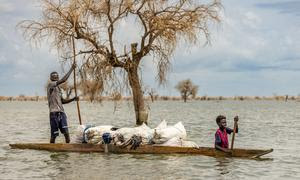 Los científicos afirman que los fenómenos meteorológicos extremos que provocan sequías o inundaciones, como el de Sudán del Sur, son cada vez más frecuentes debido al cambio climático.