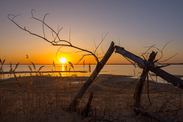 A golden orange sunset lies low over Lake Huron at Tawas Point State Park, illuminating some intertwined branches on the sandy shore