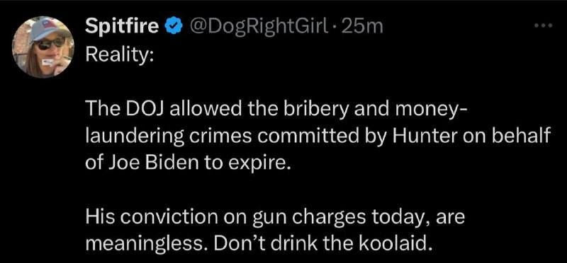 May be an image of 1 person and text that says 'Spitfire Reality: @DogRightGirl.25m 25m The DOJ allowed the bribery and money- laundering crimes committed by Hunter on behalf of Joe Biden to expire. His conviction on gun charges today, are meaningless. Don't drink the koolaid.'