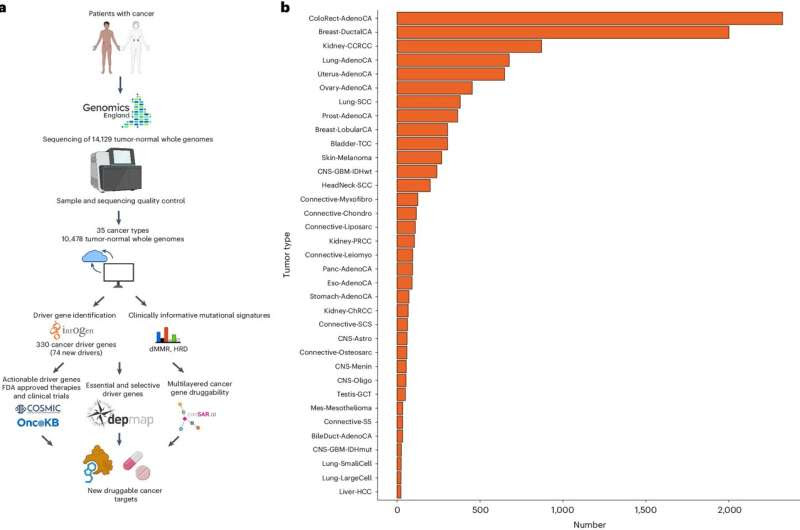 New potential cancer-driving genes identified, opening new paths for precision treatments