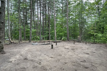 a metal fire ring, picnic table and grill in a clearing at one of Michigan's state forest campgrounds, recently cleared of downed trees, debris.