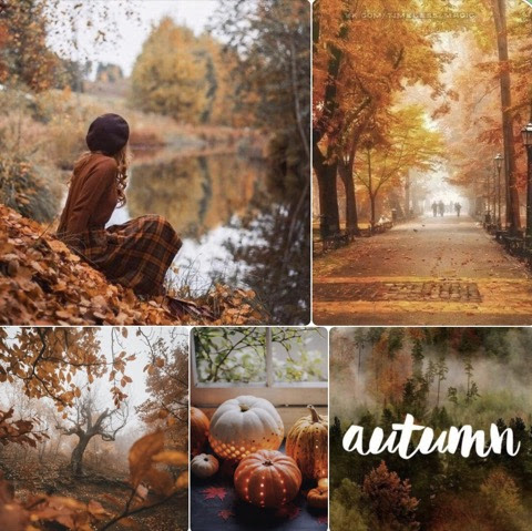 October-Autumn-College