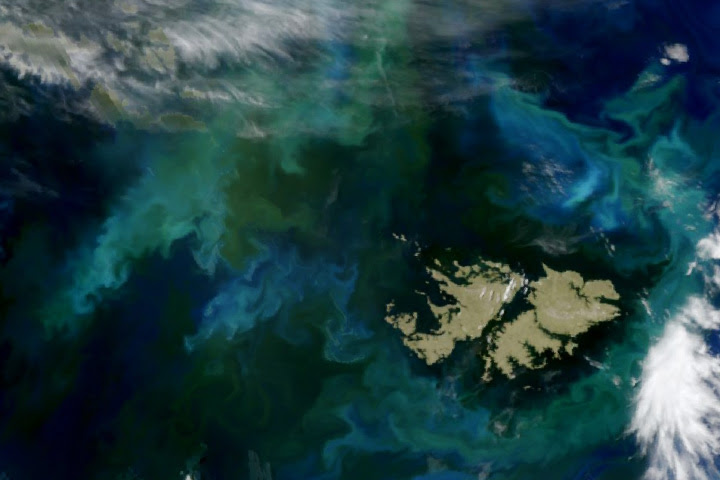 Phytoplankton Flourish in Patagonian Waters